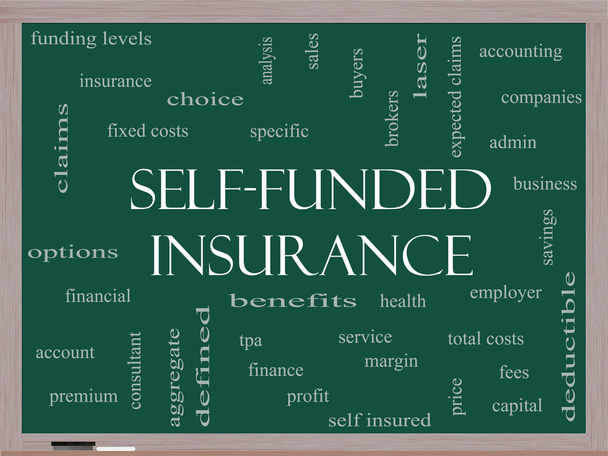Self Funded Insurance Word Cloud on a Blackboard - 写真・画像