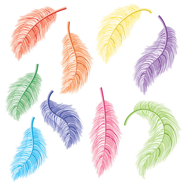 Feathers Set - Vector, Image