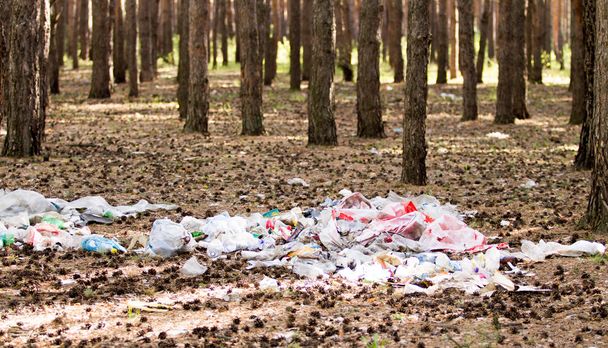 een stapel vuilnis in het bos-ecologie - Foto, afbeelding