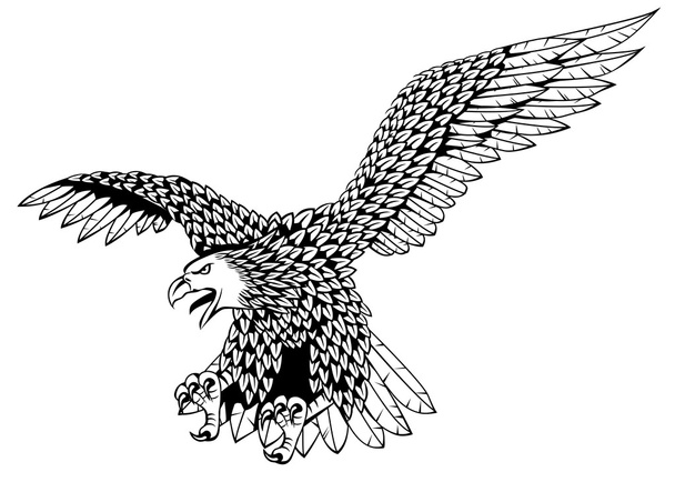 orzel ptak - Wektor, obraz