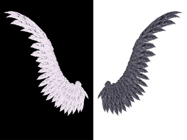 Fehér és fekete szárny - Vektor, kép