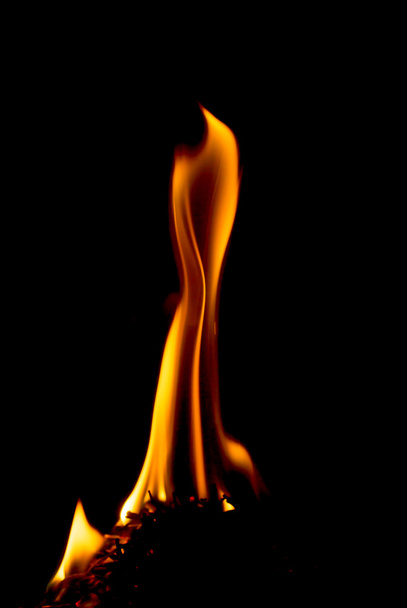 tulipalo mustalla pohjalla - Valokuva, kuva