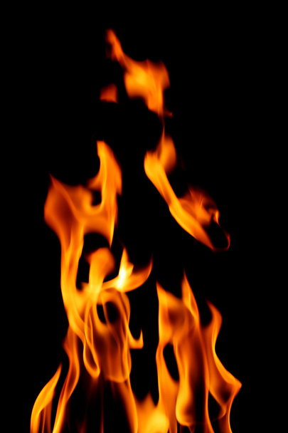 Fire - Photo, Image