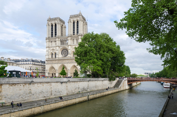 Cattedrale di Notre Dame a Parigi - Foto, immagini