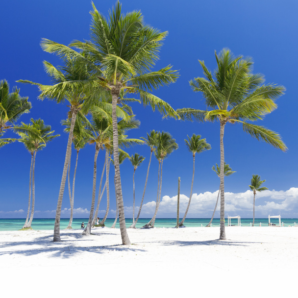 Playa en isla tropical
 - Foto, Imagen