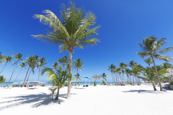 Playa en isla tropical
 - Foto, imagen