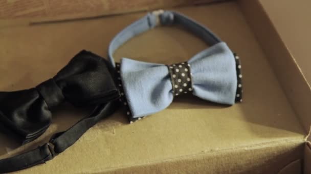 Zwart en blauw Bow-tie in geval - Video