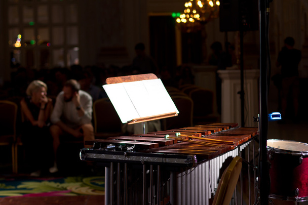 Instrumentos de percusión en una sala de cámara. Tambores. Marimba. Bass. Jazz. iluminación íntima
 - Foto, Imagen