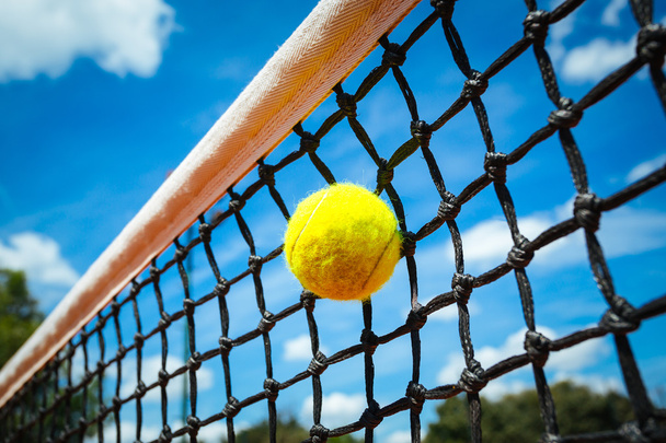 Tennis ball in net - Fotó, kép