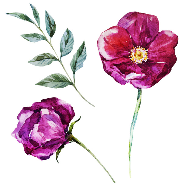Nice watercolor flowers - Vektor, obrázek
