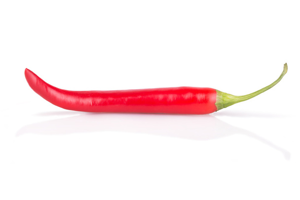 one chilli peppers on white background - 写真・画像
