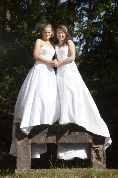 retrato de duas noivas em pé sobre objeto concreto na natureza surr
 - Foto, Imagem