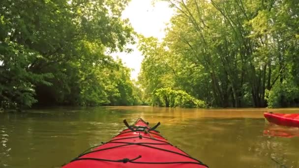 Kayakers paddle along Big Elkhorn Creek - 映像、動画