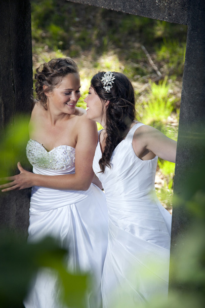 retrato romântico de duas noivas no entorno da natureza
 - Foto, Imagem
