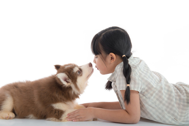 Piccola ragazza asiatica baciare un cucciolo husky siberiano su schienale biancogr
 - Foto, immagini