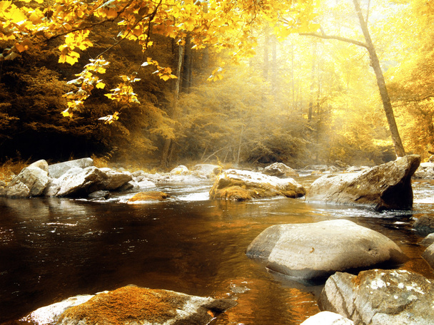 podzimní creek - Fotografie, Obrázek