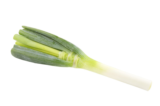 Green Japanese Bunching Onion на білому тлі - Фото, зображення
