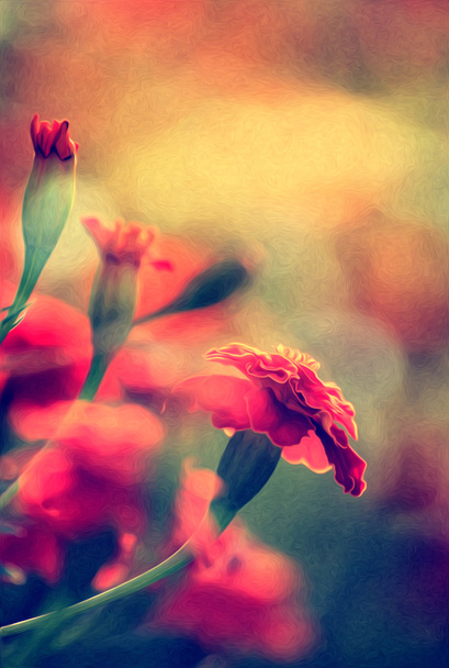 rode bloem olieverf  - Foto, afbeelding