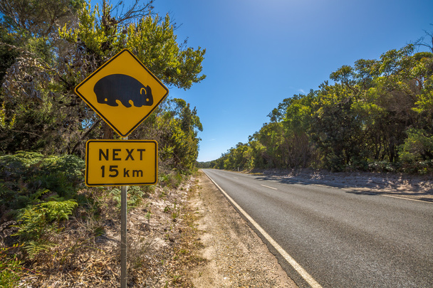 Señal de carretera Wombat
 - Foto, imagen