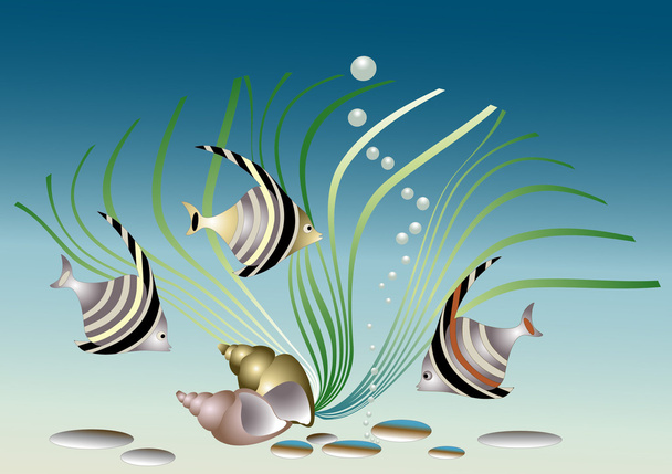 Aquarium fish.Pattern - Wektor, obraz