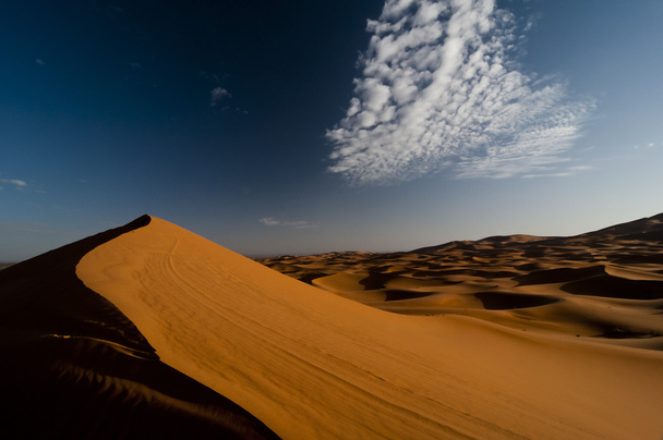 朝の光の中でオレンジ色の砂漠の砂丘 - 写真・画像