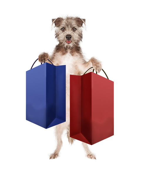 Dog carrying shopping bags - Foto, afbeelding