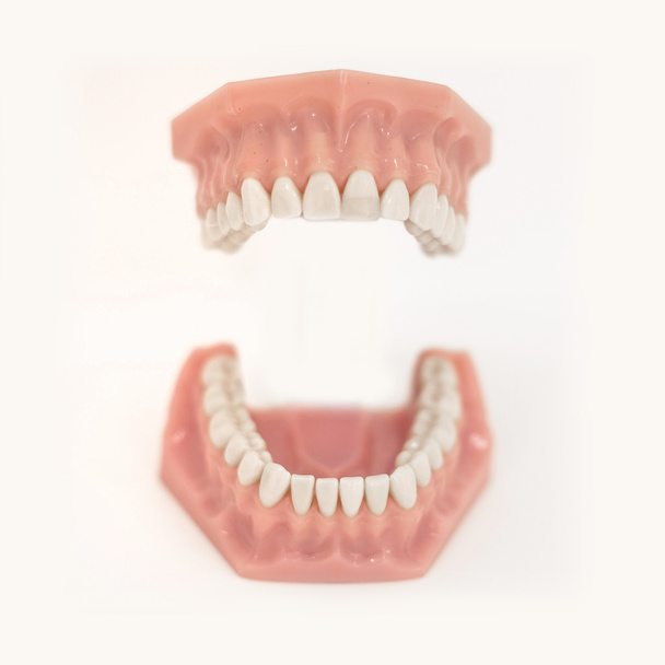 open mouth denture - Photo, Image