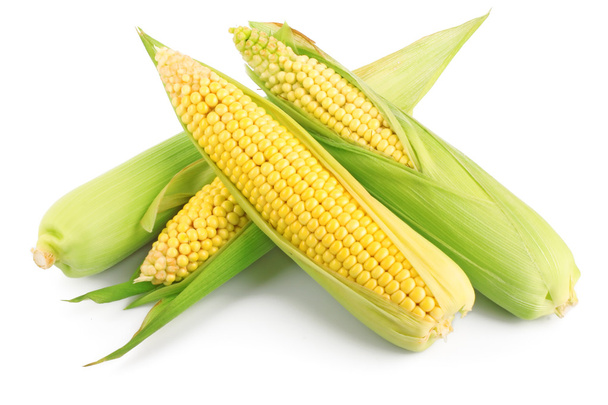 Fresh ear of corn - Foto, Bild