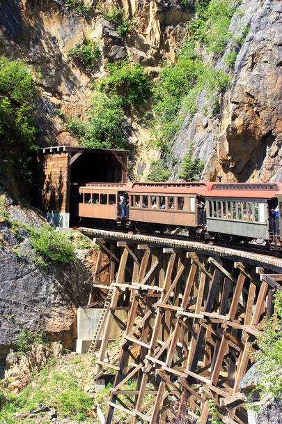 Zug fährt durch alte Brücke in Tunnel  - Foto, Bild