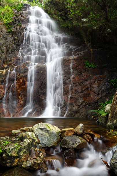 Waterfall - Photo, Image