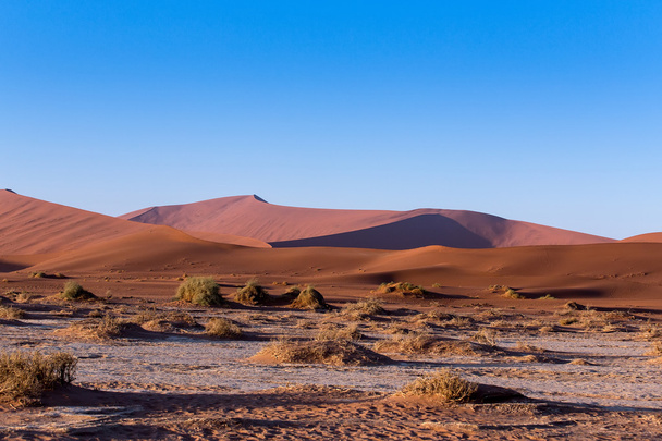 bela paisagem de Hidden Vlei no deserto do Namib
  - Foto, Imagem