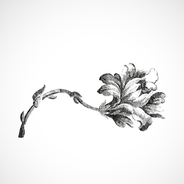 Flor horizontal dibujada a mano de lirio, vector de fondo aislado vintage
 - Vector, Imagen