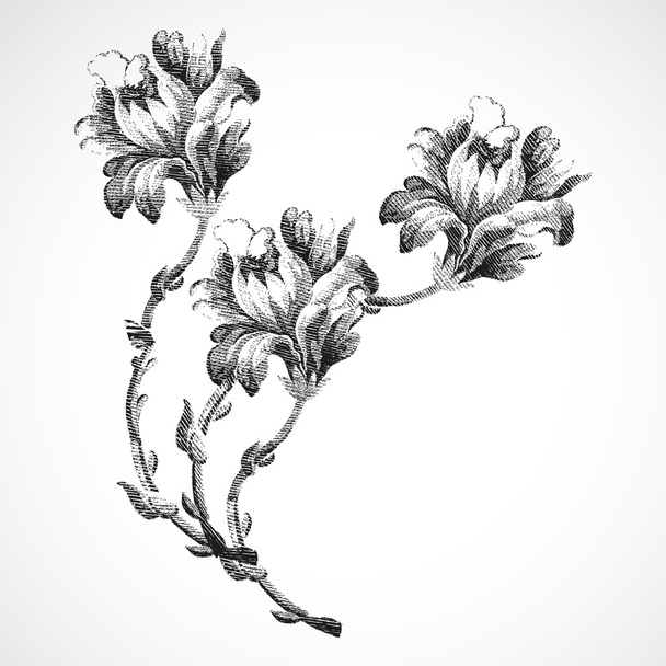 Hand-drawn bouquet of three flowers of lily, vintage isolated background vector - ベクター画像