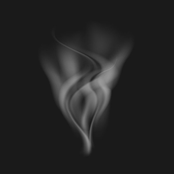 Vector realistic white smoke on a black - Wektor, obraz