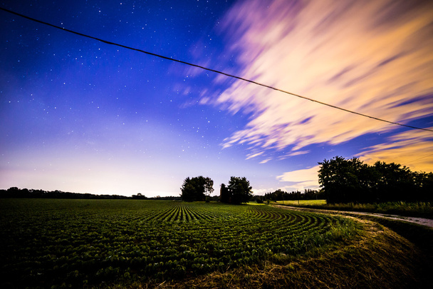 Nacht auf den Feldern - Foto, Bild