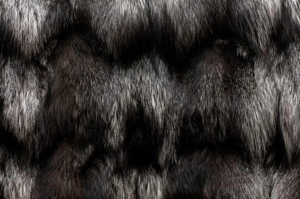 zwarte vacht textuur close-up van mooie - Foto, afbeelding