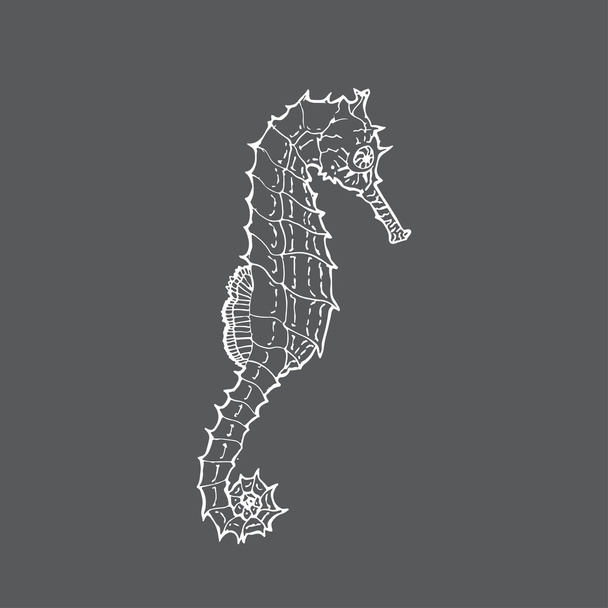 Sea Horse - Vector, Image