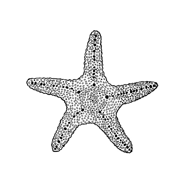 Sketch starfish - Wektor, obraz