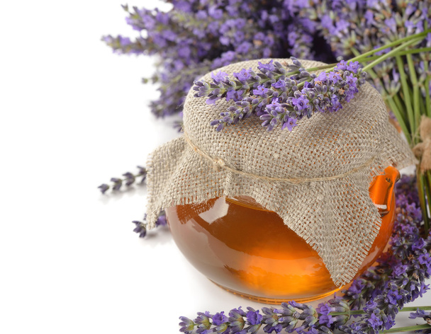 Lavender honey - Фото, зображення