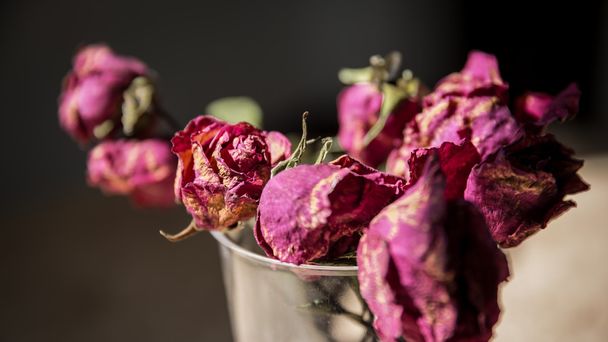 Roses fanées dans un vase
 - Photo, image
