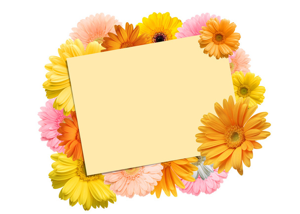 Bright multicolored gerbera flowers and a sheet of paper on a white background - Photo, Image