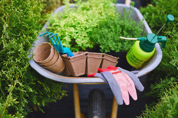 equipamento de jardinagem no carrinho de mão
 - Foto, Imagem