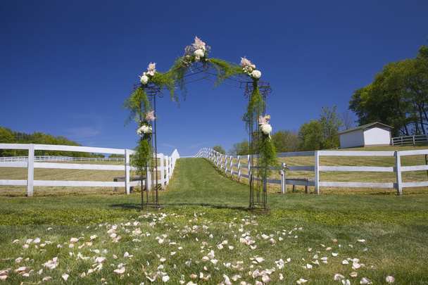 Floral Archway on Wedding Day - Zdjęcie, obraz