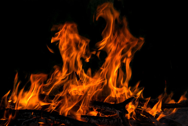 fire flame bonfire spurts - Photo, Image