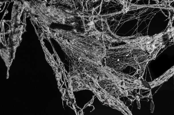 Horror Raagbol of spider web in oude Thaise house geïsoleerd op zwart - Foto, afbeelding