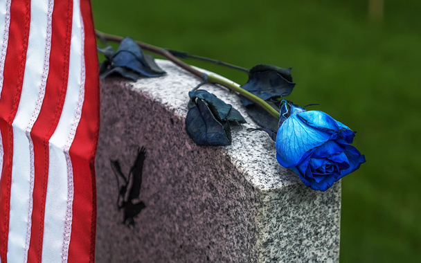 Blue Rose on tombstone - Fotografie, Obrázek