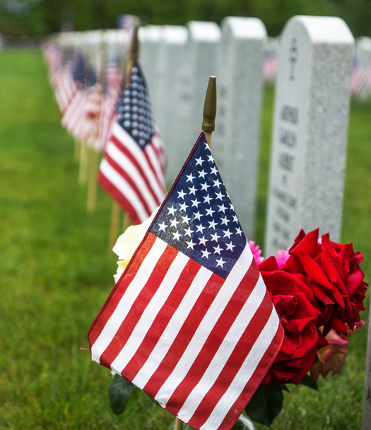 Bandiere in un cimitero nazionale
 - Foto, immagini