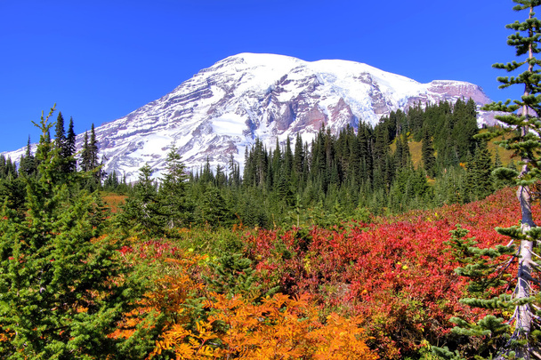 Mt. Rainier in the fall. - Photo, Image