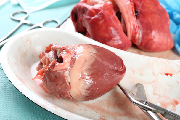 Heart organ in medical metal tray with tools on table, closeup - Foto, Imagem