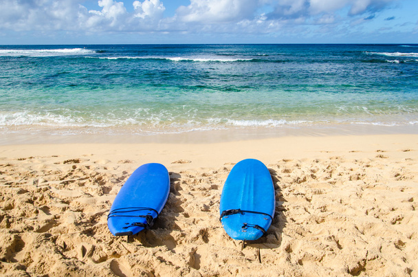 Two Surfboards on the sandy beach in Hawaii - Fotografie, Obrázek